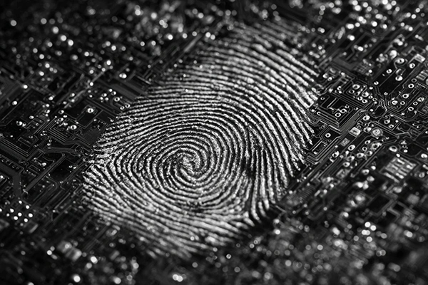 将触感转化为真实体验：TITAN Haptics以科学精度赋能触觉设计